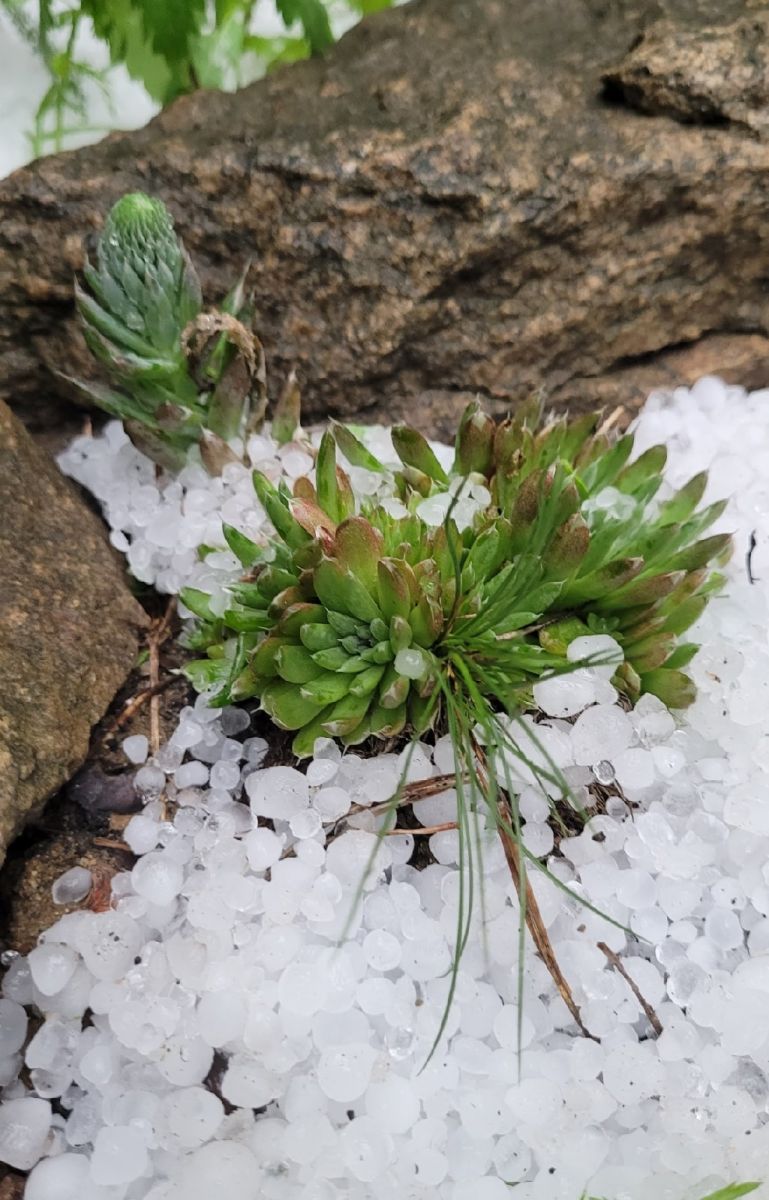 060957BA-6EAE-41C5-88E2-2F9F679B26C5.jpeg 060957BA-6EAE-41C5-88E2-2F9F679B26C5.jpeg